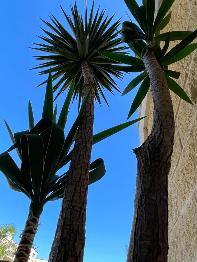 הוילה לצ'ה Ancora Del Salento מראה חיצוני תמונה